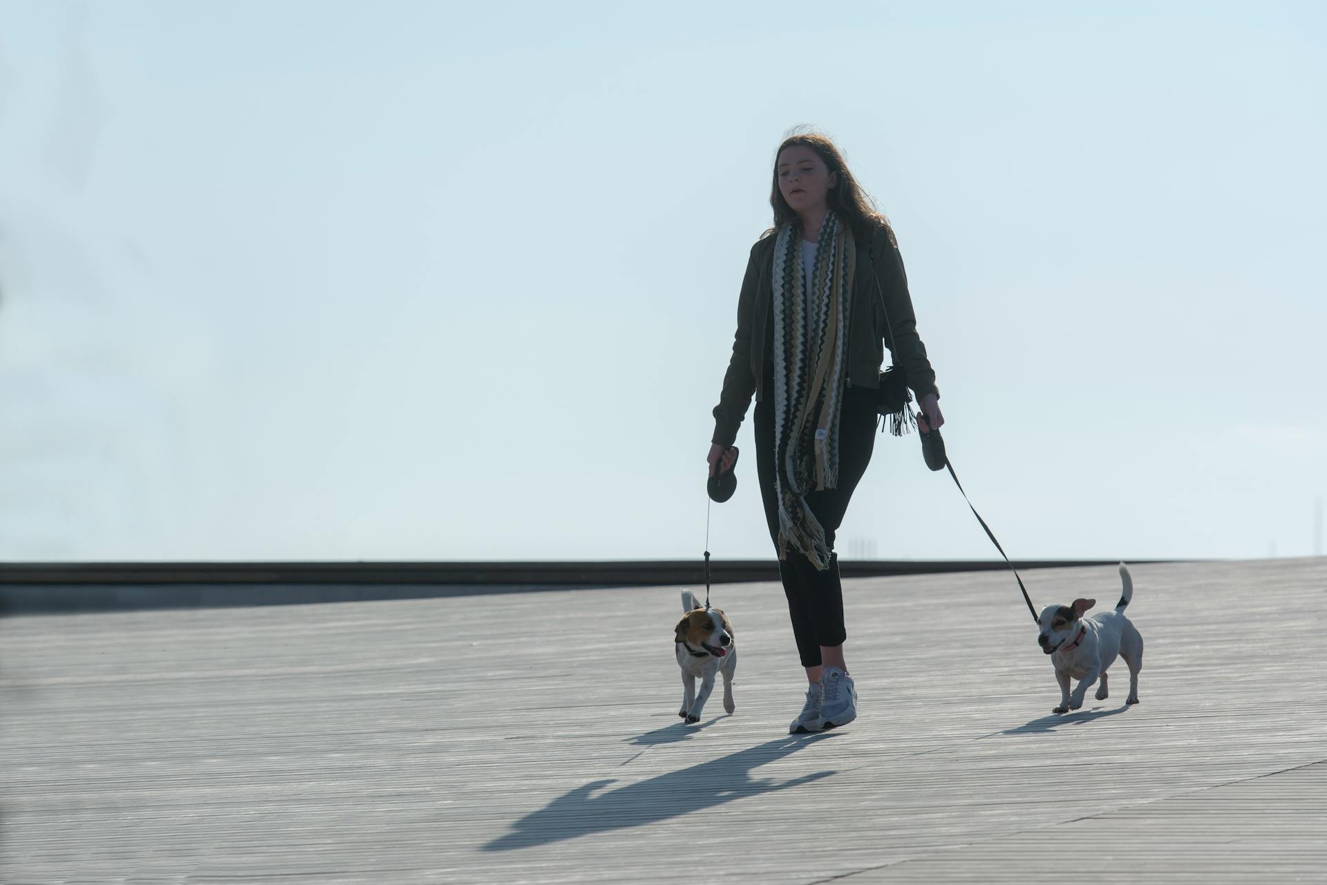 Girl doing dog walking services
